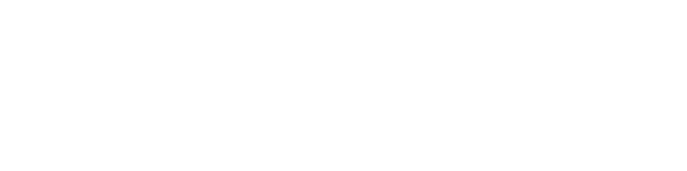 Logo Carrefour blanc